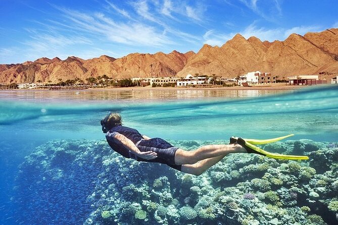 Ras Mohamed, Île Blanche, Plongée avec Tuba et Plongée Sous-Marine